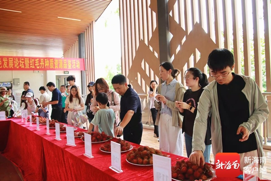 2026海南保亭热带水果产业绿色发展论坛举办(图4)