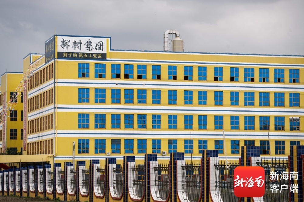 椰树太会了！新晋免费打卡点，沉浸式围观椰汁诞生