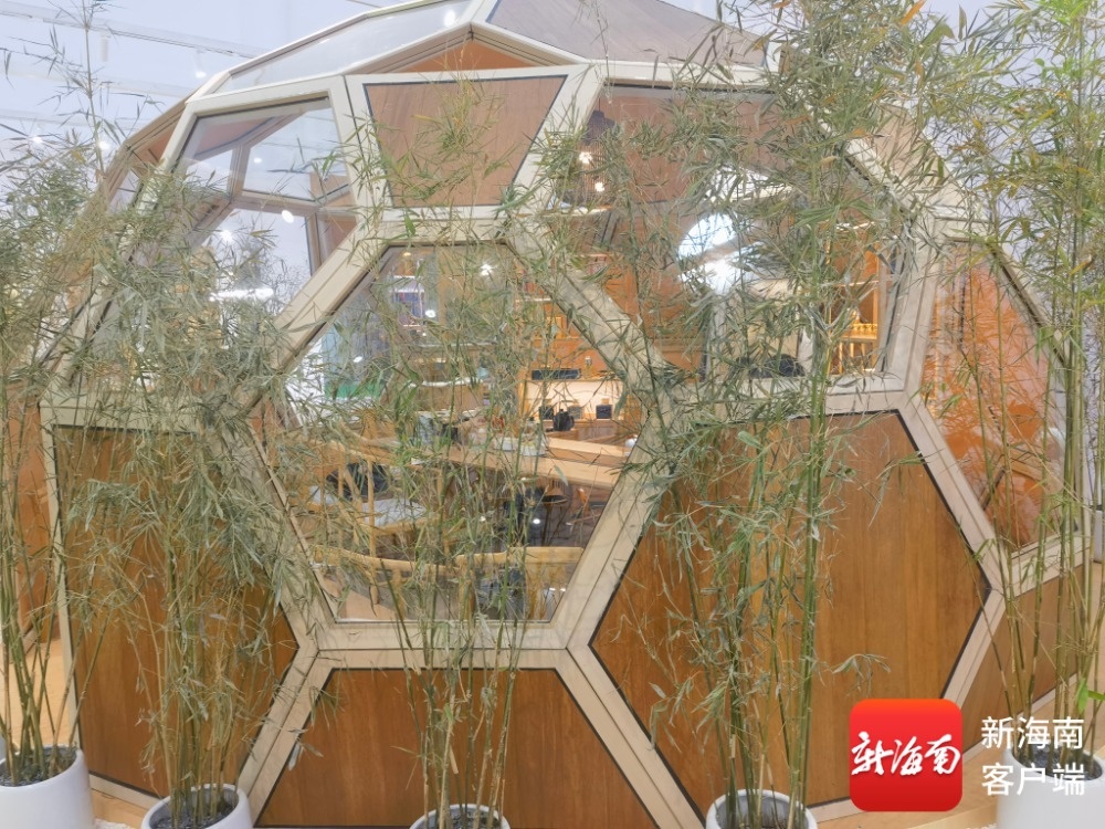 星空体育科技：从消博会展台到全球货架：国货出海正当时丨“潮”这看消博(图7)