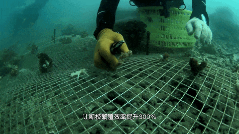 三亚崖州湾竟有这么多深海“黑科技”！(图5)