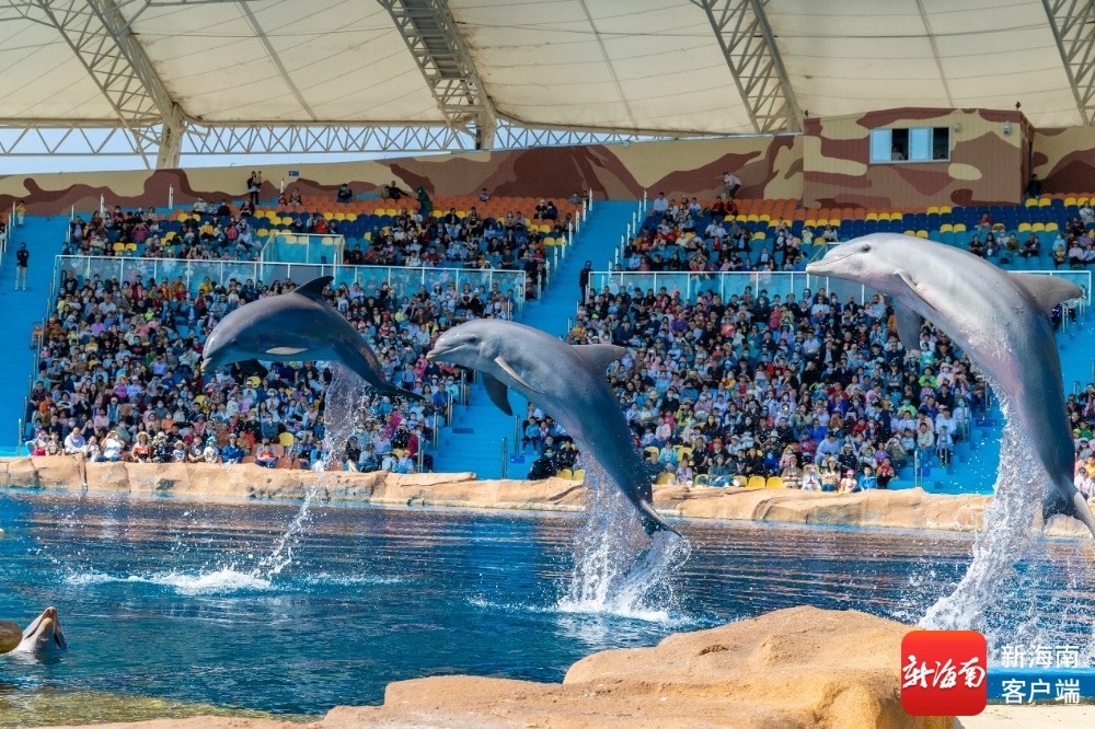 春节假期陵水接待游客128.95万人次丨开门红·看消费