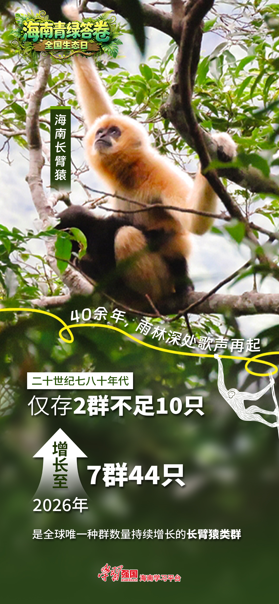 强国策划 | 海南:别急,正在给大自然“充植”-南海网
