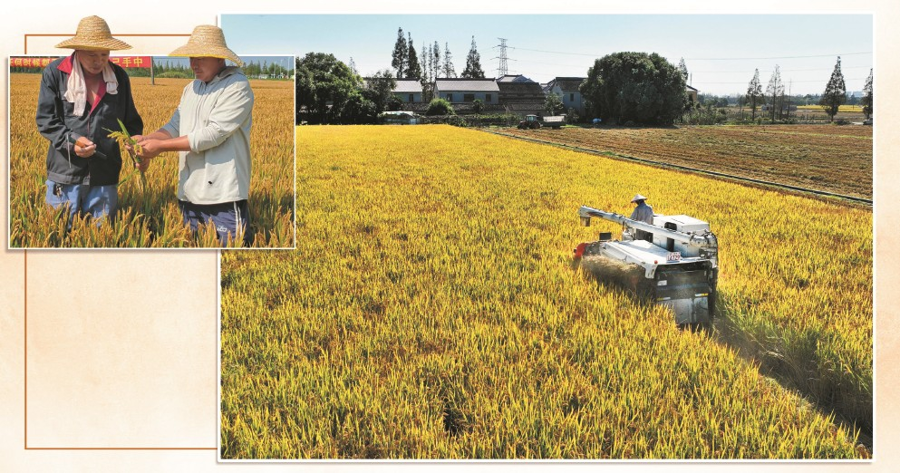 乡村振兴向科技要产量向创新要未来(图1)