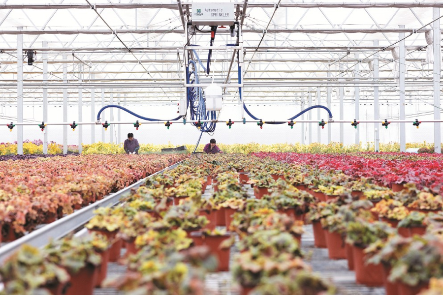 乡村振兴向科技要产量向创新要未来(图2)