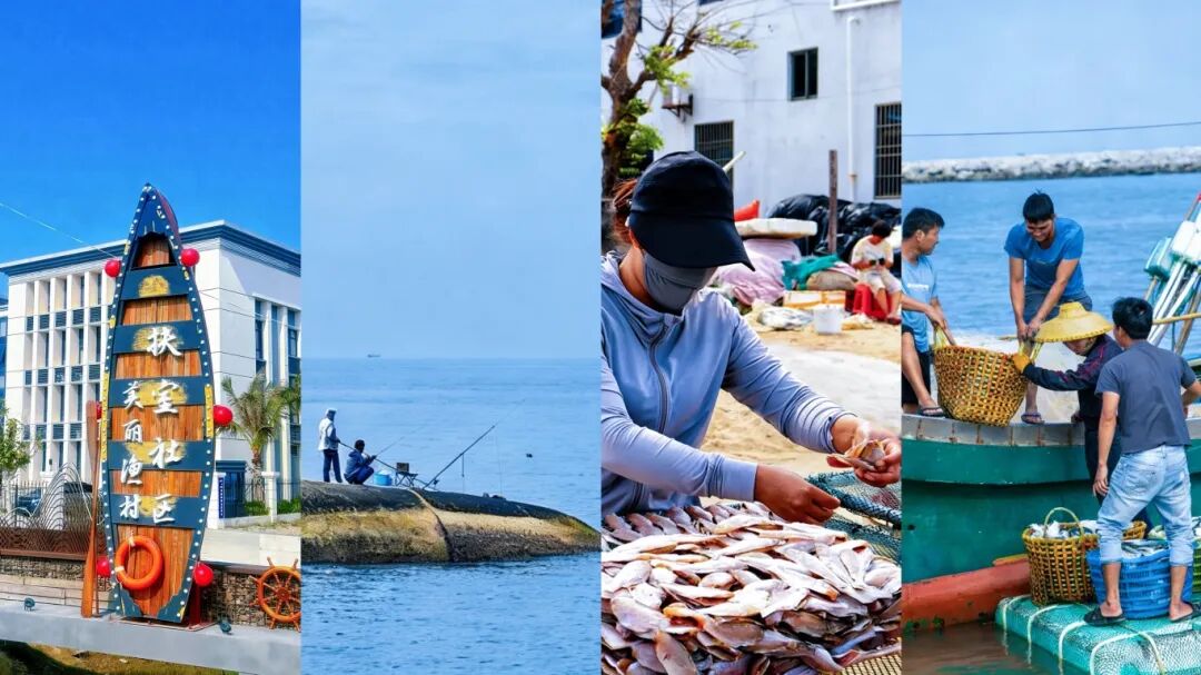 海钓、拾贝、观海……周末来扶室，就这么玩!